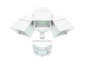 Outdoor Security Light LT-FXF-30W