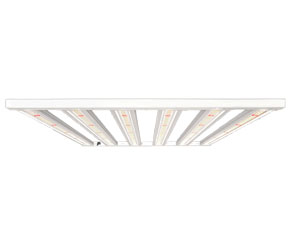 LED Grow Light 1000W(5ft x 5ft Canopy)