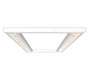 LED Grow Light 330W(2ft x 4ft Canopy)