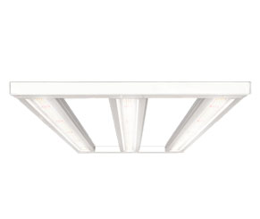 LED Grow Light 500W(3ft x 5ft Canopy)