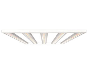 LED Grow Light 600W(4ft x 4ft Canopy)